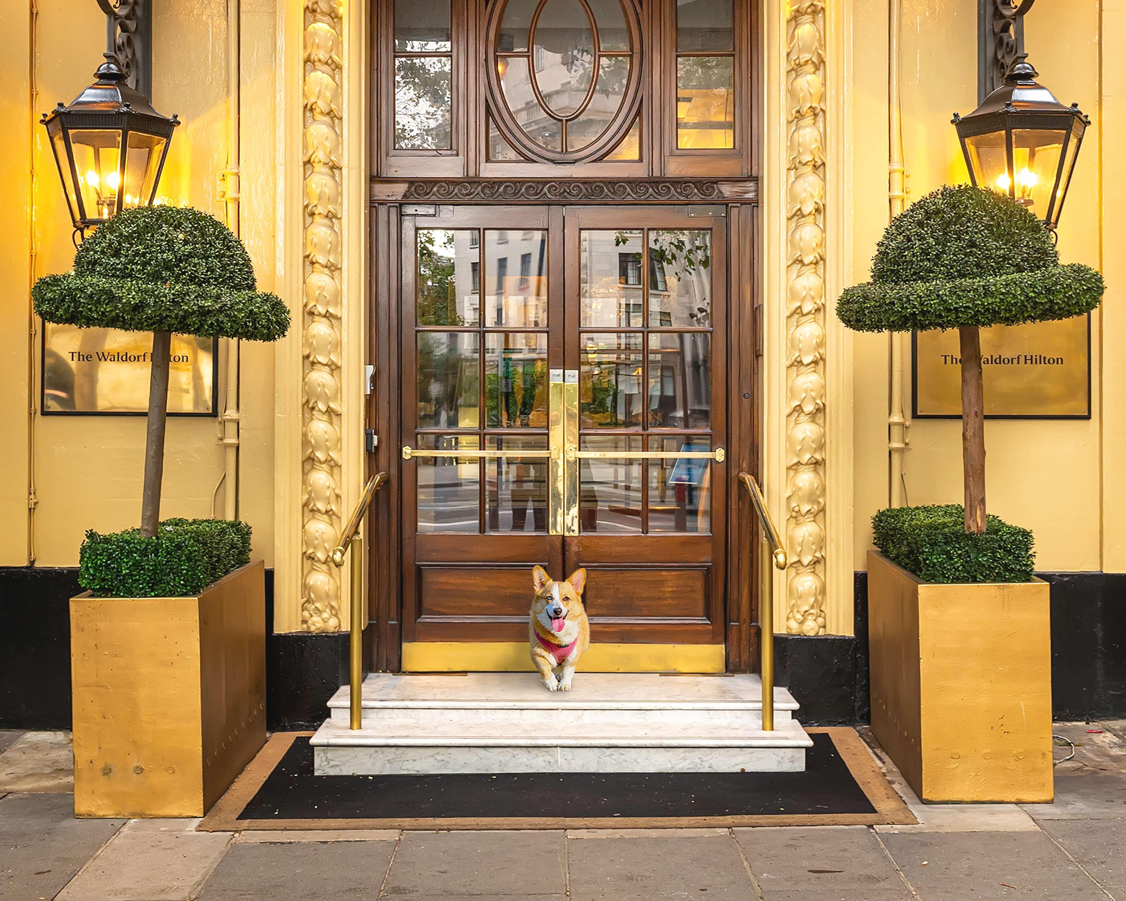 The Waldorf Hilton 4* Лондон